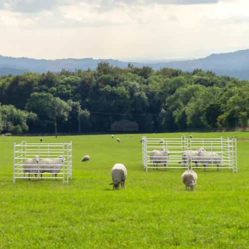 4ft Sheep Fence Panels, 7 Railed Metal Galvanized Sheep Hurdle