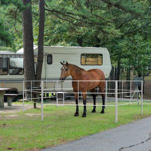 portable horse panels