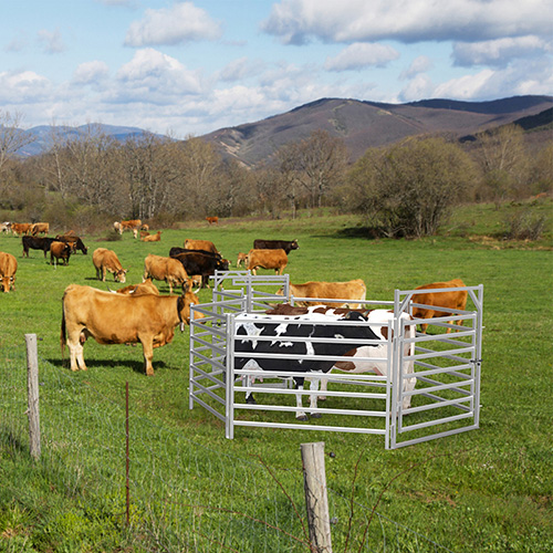 What is a Cattle Yard Fence?