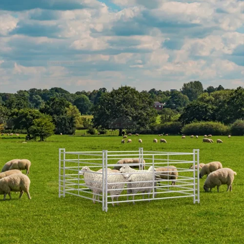 6ft 7 Railed Metal Galvanized Sheep Hurdle Fence