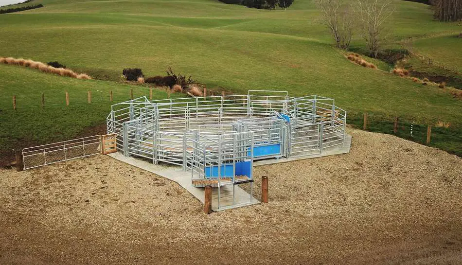 Cattle Yard Fence