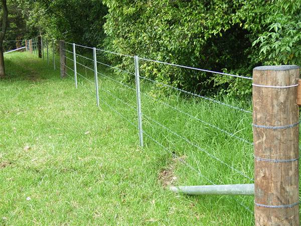 Star pickets used with steel wires as fence in forest.