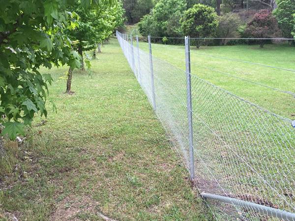 Star pickets used in garden with chain link wire mesh