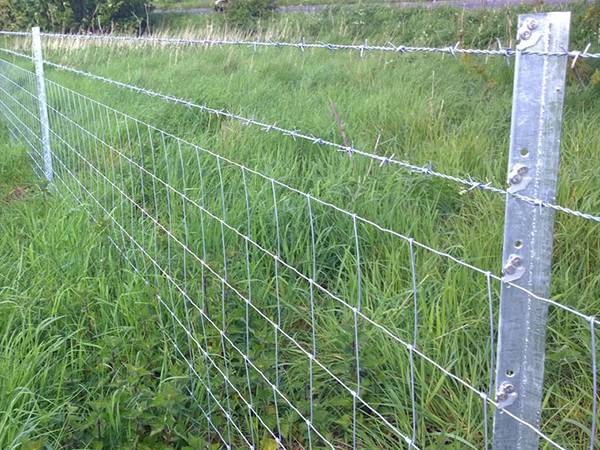 Star pickets used with steel wires in pasture.