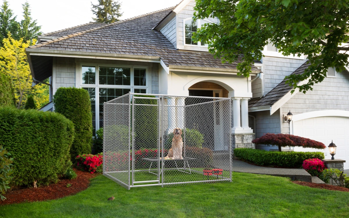 Chain Link Dog Kennel