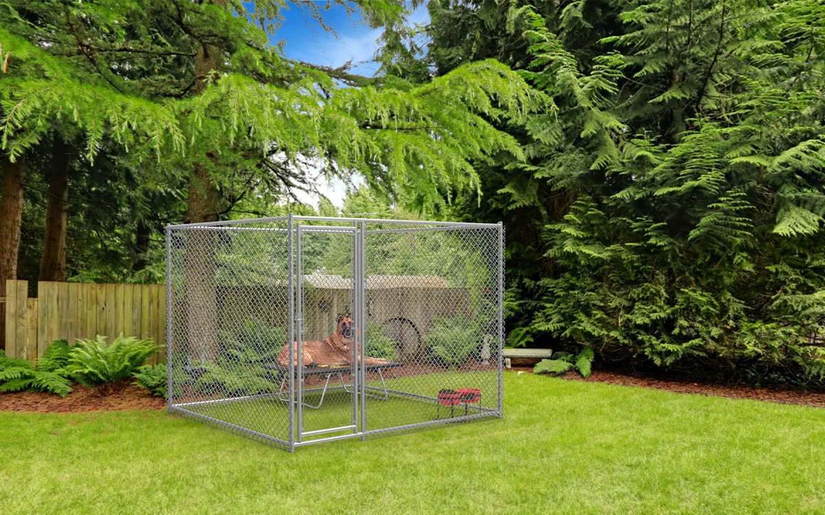 Chain Link Dog Kennel