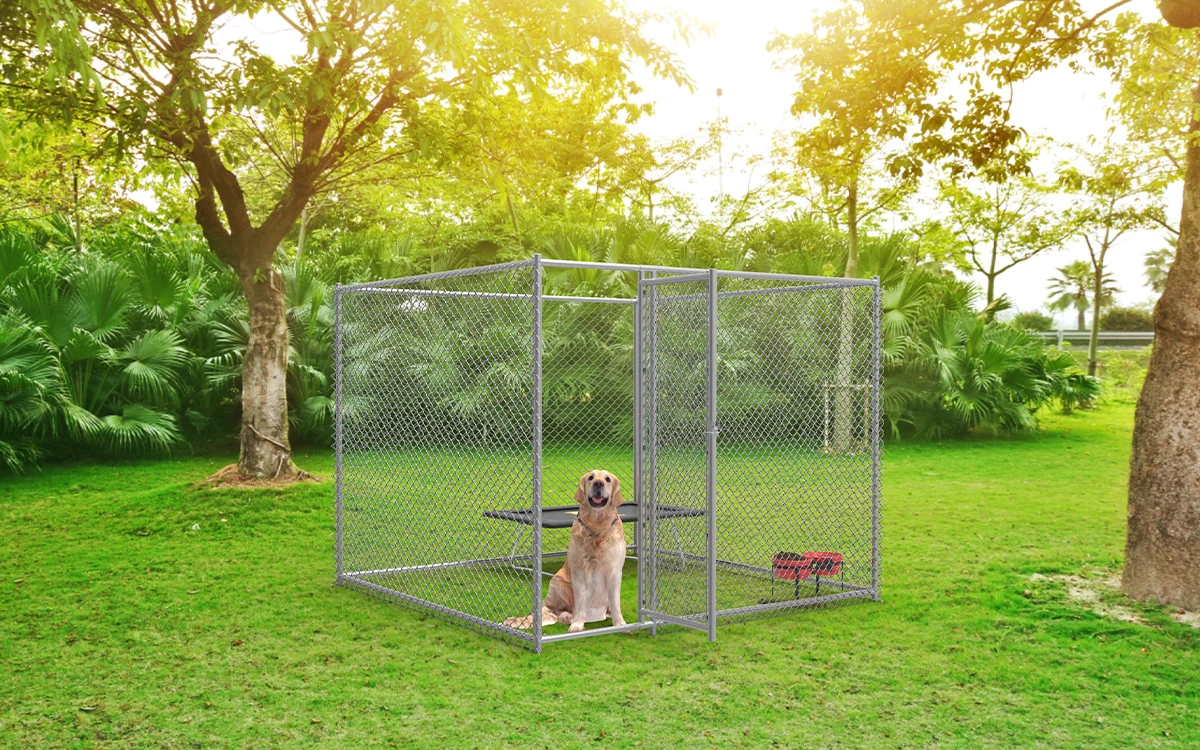 Chain Link Dog Kennel