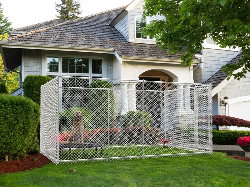 Chain Link Dog Kennels