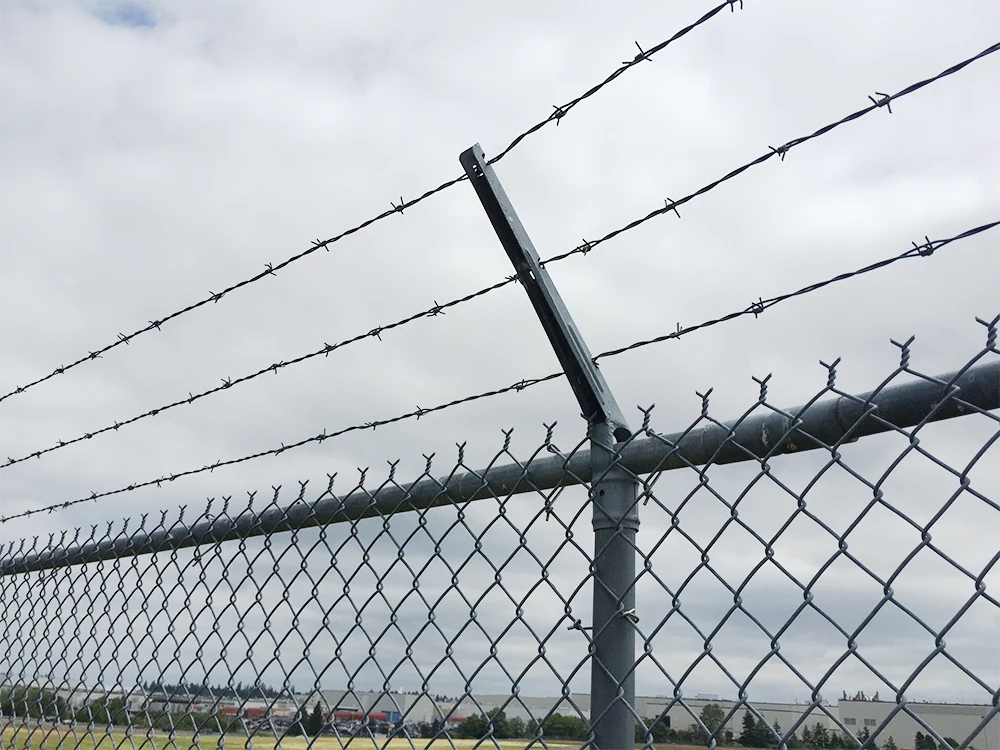 Barbed Wire Fences